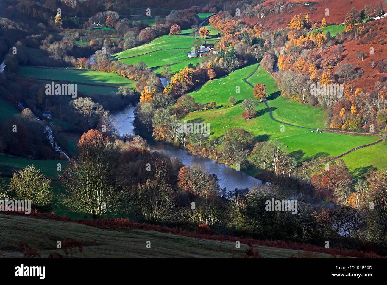 Wye Valley en automne près de Builth Wells avec la lumière de fin d'après-midi, Pays de Galles, Royaume-Uni Banque D'Images