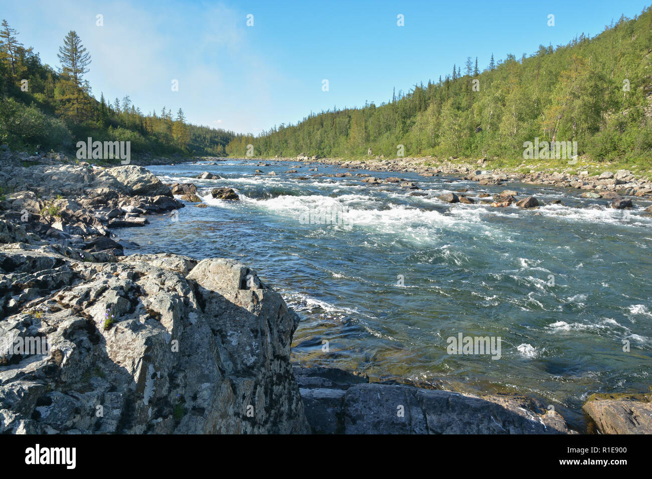 Sur le seuil de la rivière La rivière de la taïga. L'eau d'été Rapids dans le paysage de l'Oural polaire. Banque D'Images