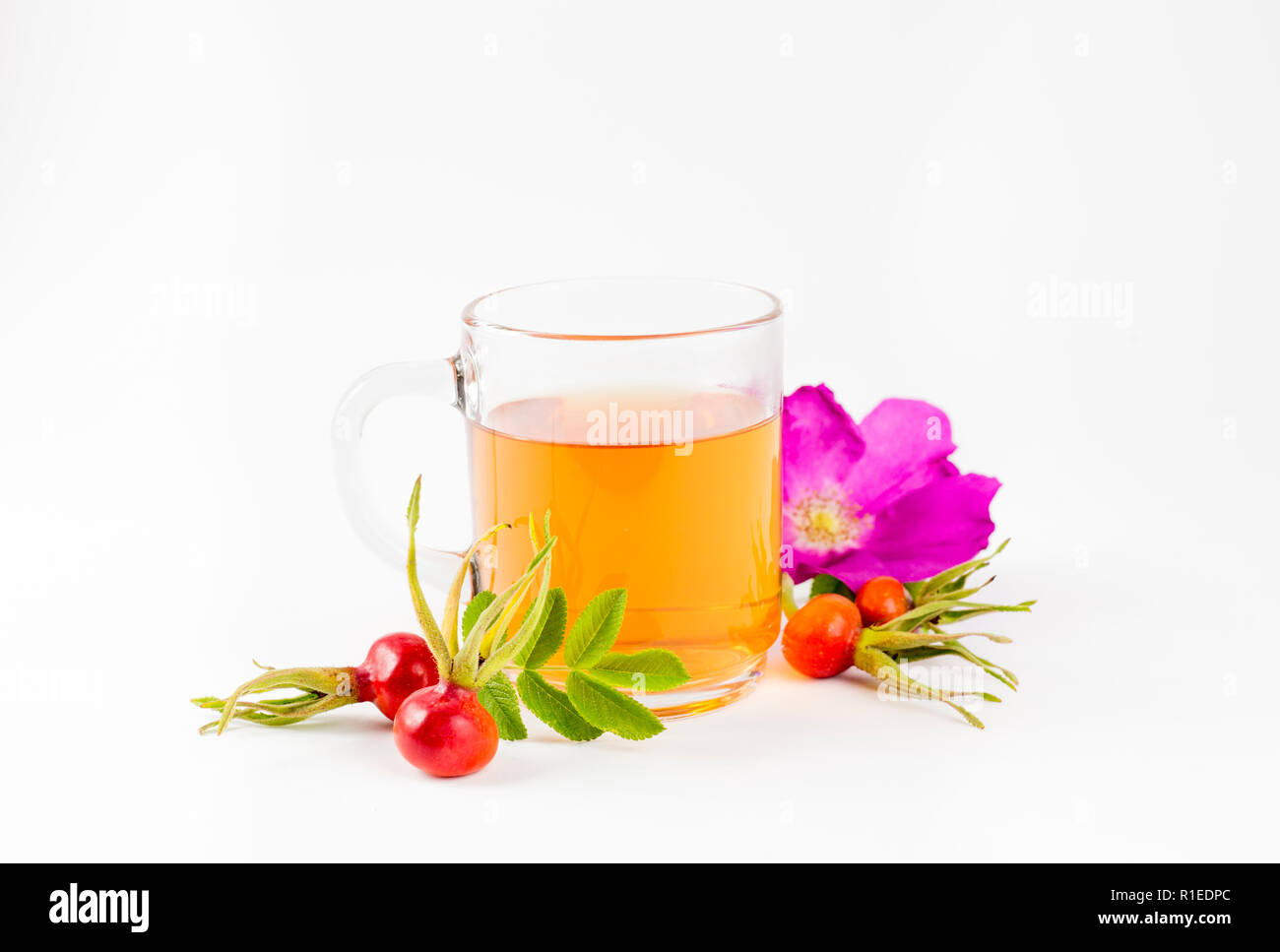 Vue de côté de la rose de la hanche ou de l'églantier, appelé aussi rose haw et rose thé hep en verre clair cup, les matières des baies, des fleurs et des feuilles pour la décoration sur whit Banque D'Images