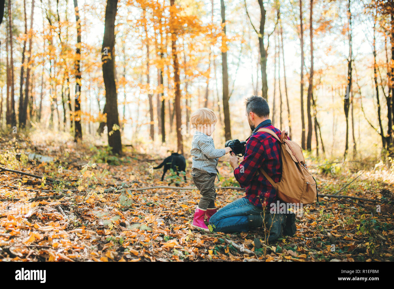 Un père et un petit garçon dans une forêt d'automne, prendre des photos avec un appareil photo. Banque D'Images