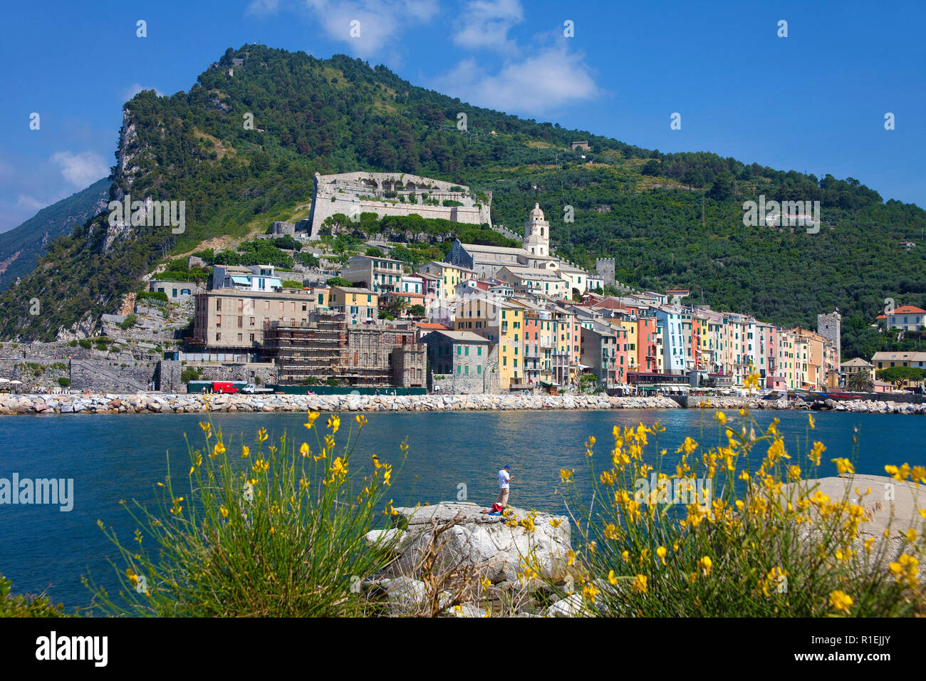 Rangée de maisons colorées au port de Portovenere, province La Spezia, Riviera di Levante, ligurie, italie Banque D'Images