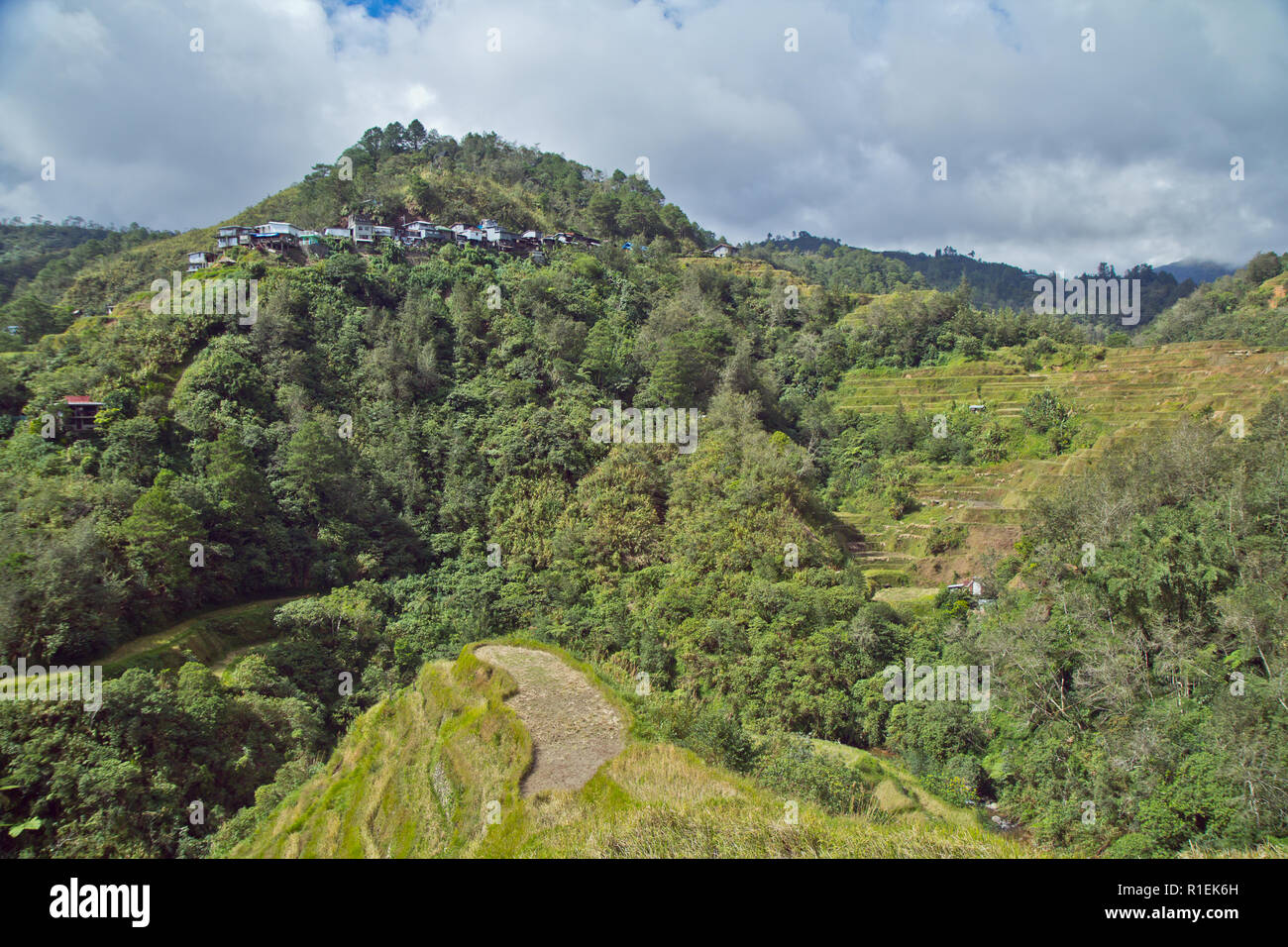 Les terrasses de riz de Banaue sont taillées dans les montagnes d'Ifugao aux Philippines par les ancêtres des peuples autochtones. Banque D'Images