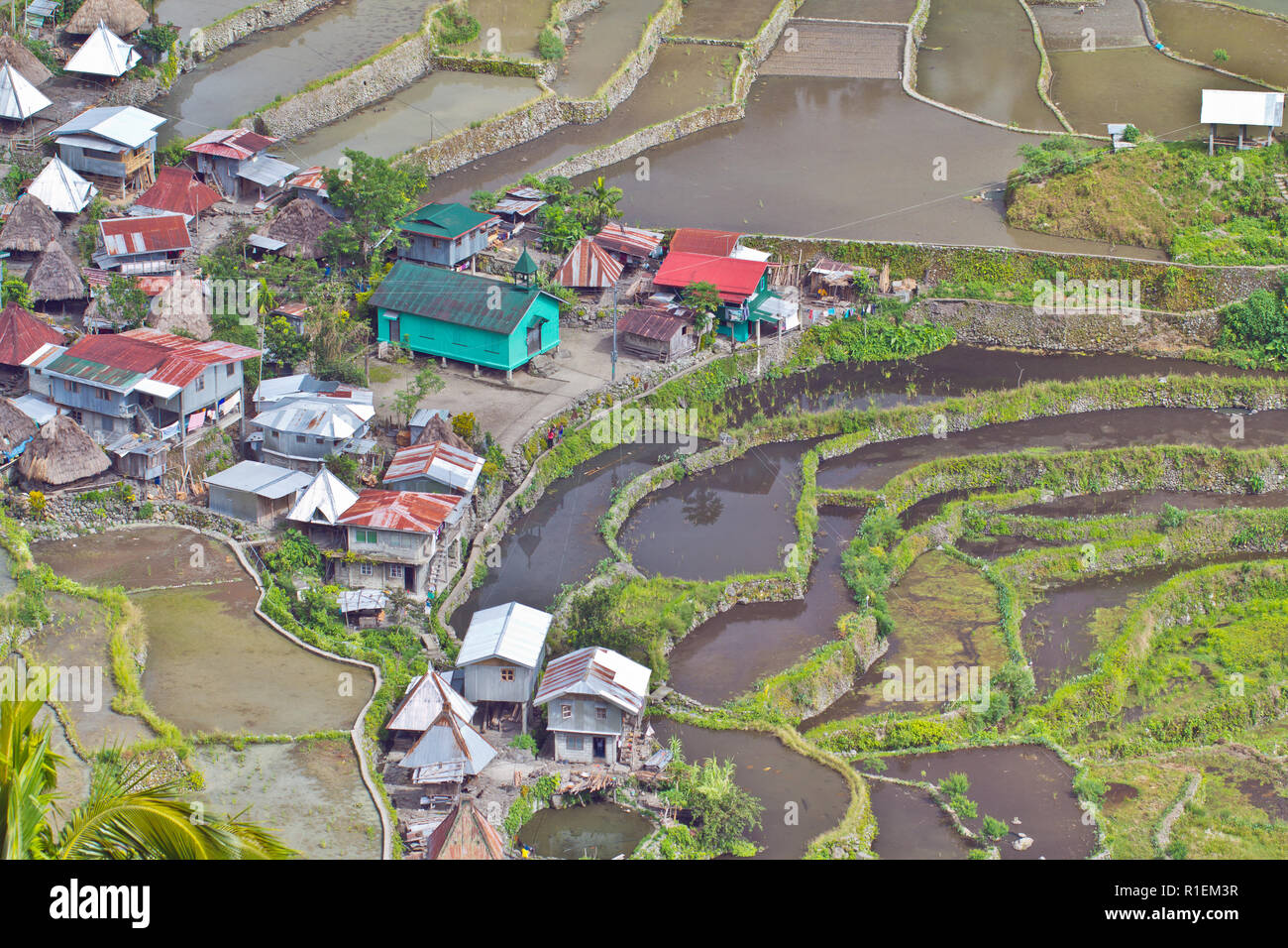 Batad est un village reculé d'environ 1 500 personnes dans la province d'Ifugao. C'est dit d'être à la maison pour le meilleur et le plus préservé des terrasses de riz Banque D'Images