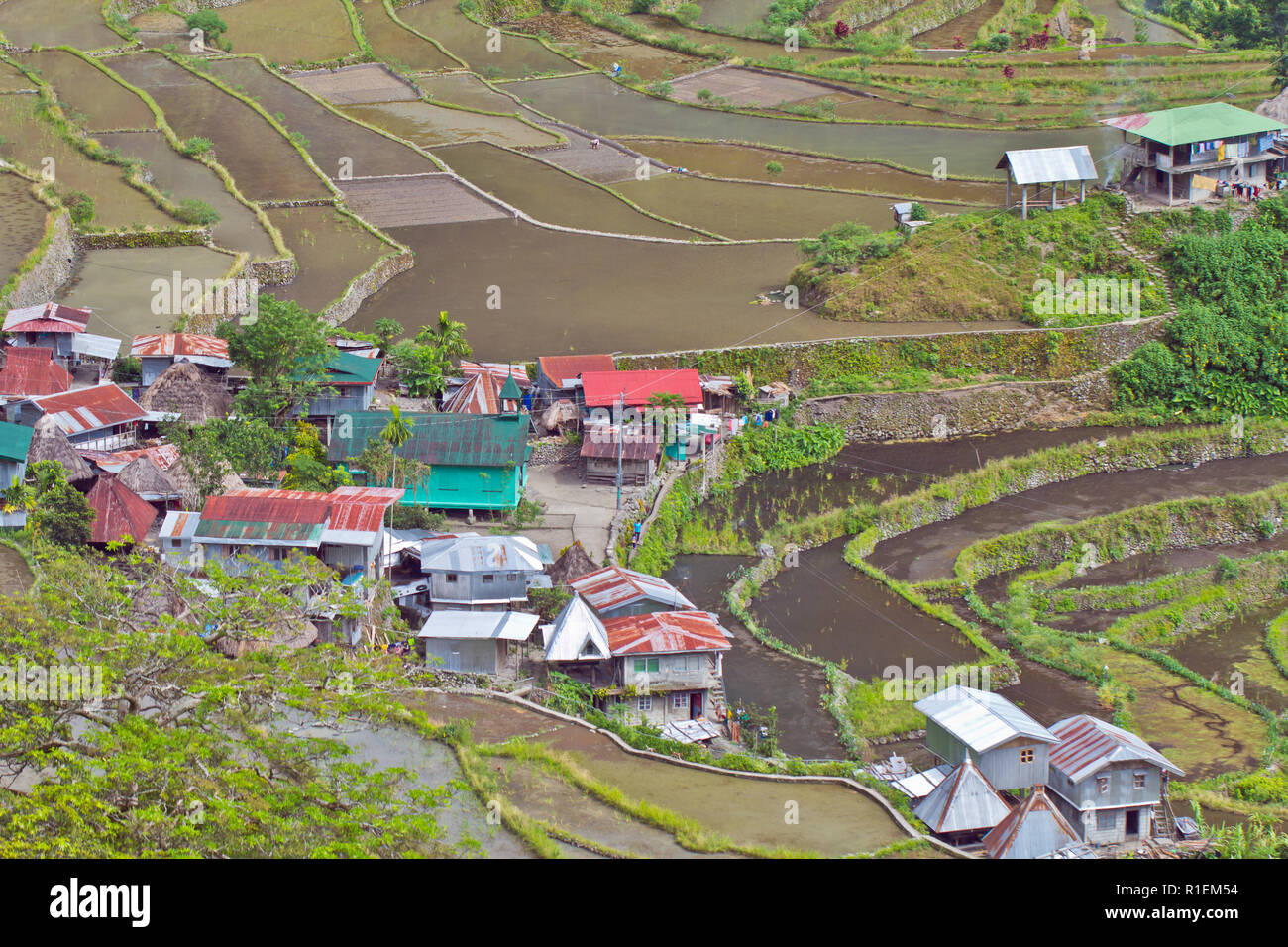 Batad est un village reculé d'environ 1 500 personnes dans la province d'Ifugao. C'est dit d'être à la maison pour le meilleur et le plus préservé des terrasses de riz Banque D'Images