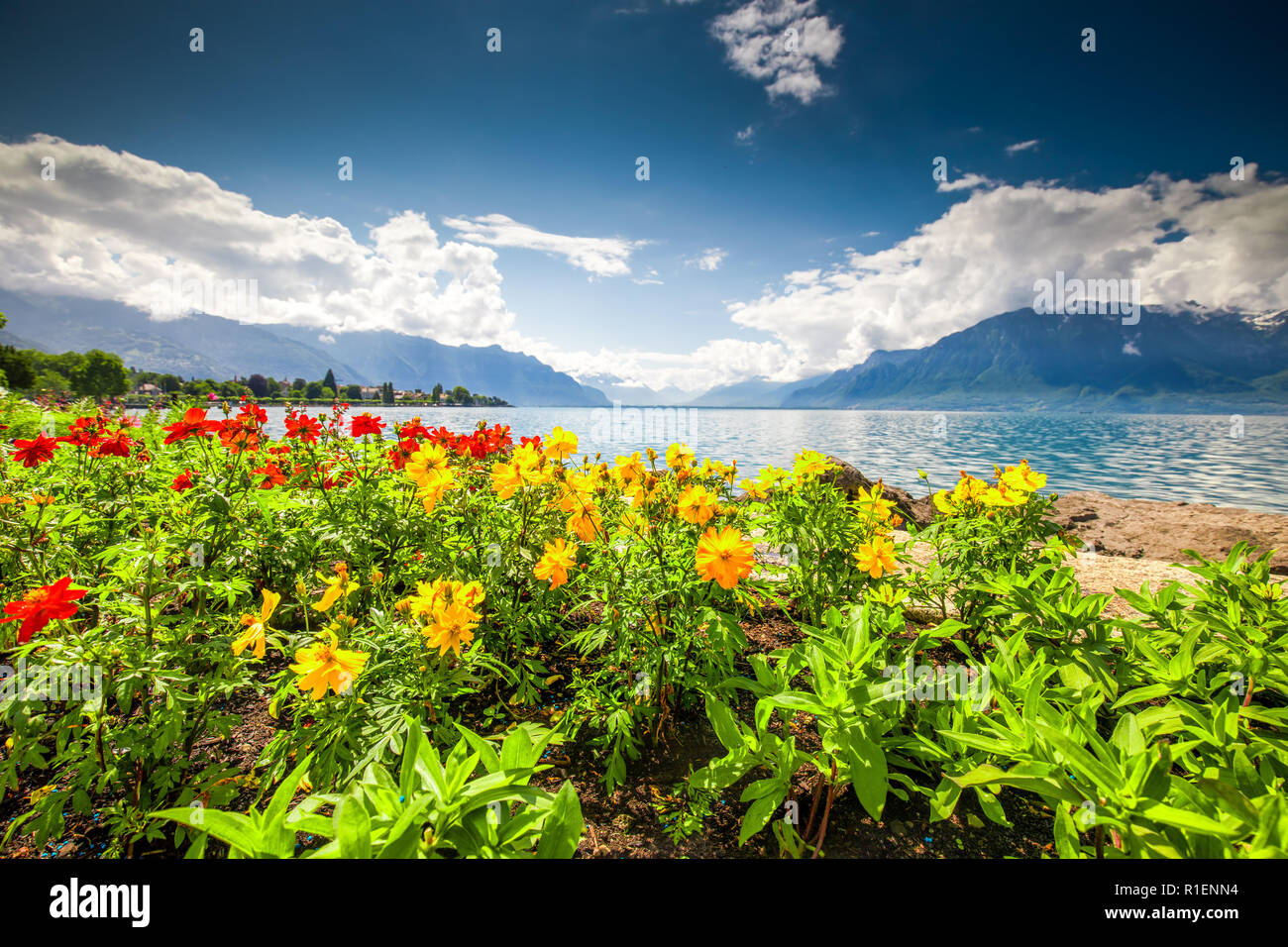 La ville de Montreux avec des Alpes suisses, le lac Léman et le vignoble de Lavaux, région, Canton de Vaud, Suisse, Europe. Banque D'Images
