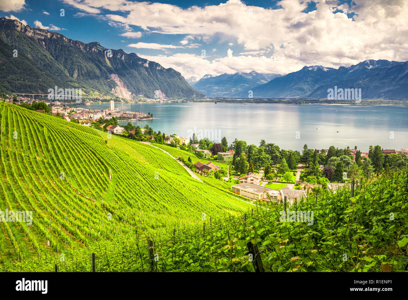 La ville de Montreux avec des Alpes suisses, le lac Léman et le vignoble de Lavaux, région, Canton de Vaud, Suisse, Europe. Banque D'Images
