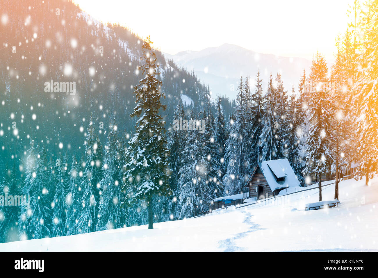 Snow falling night cabin Banque de photographies et d’images à haute résolution - Alamy