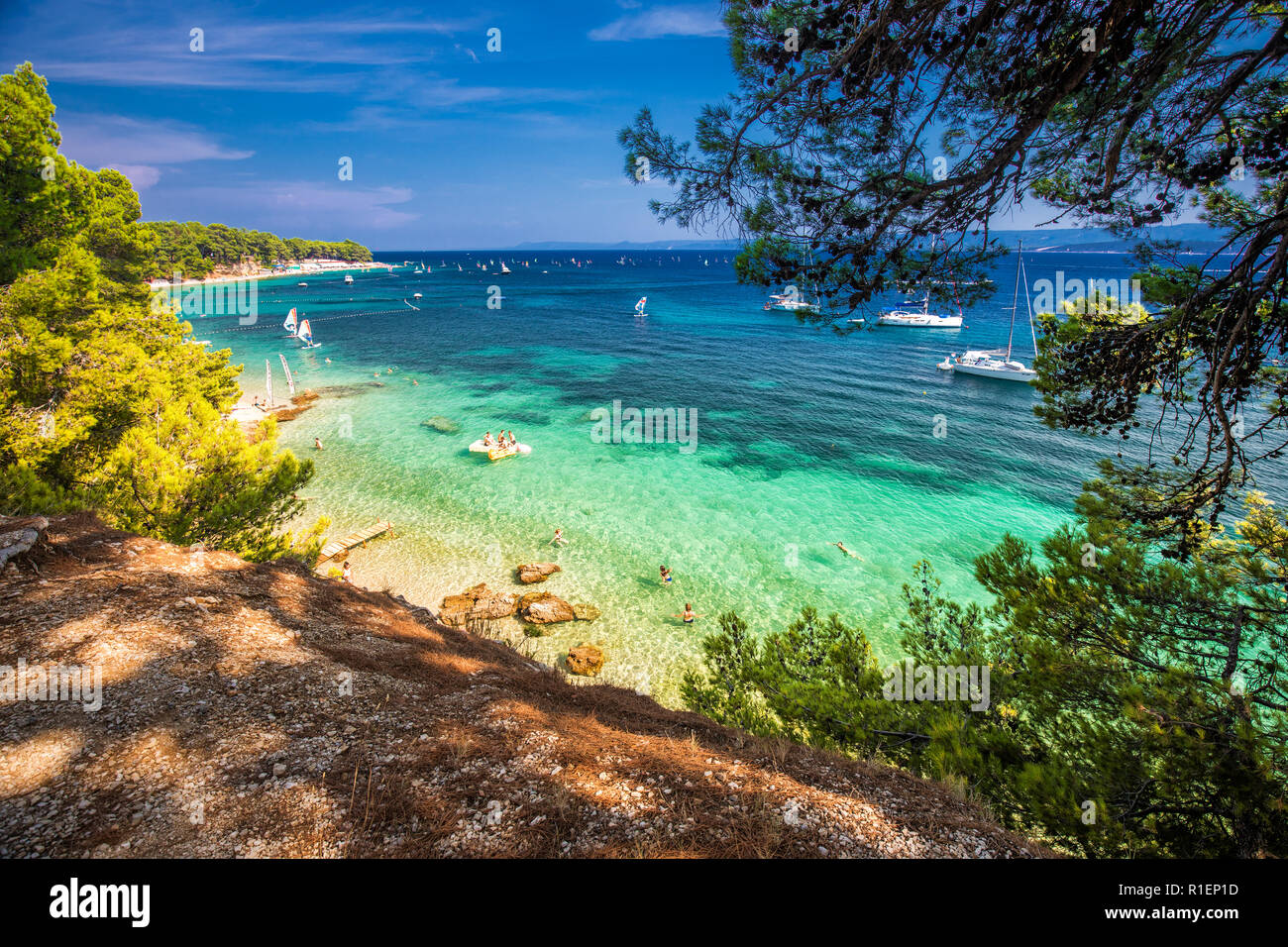 Promenade en bord de mer, sur l''île de Brac avec des pins et de l'eau de l'océan turquoise clair, Bol, Brac, Croatie Banque D'Images