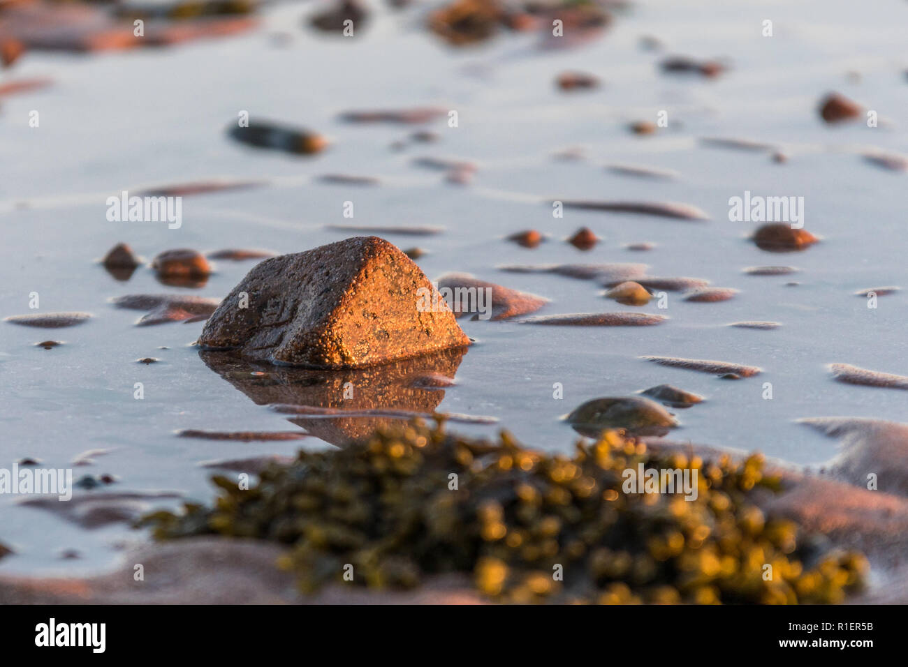 Petits rochers éparpillés sur le sable de la plage close up.Profondeur de champ.Selective focus on foreground rocks.fond flou de pierres multicolores de dif Banque D'Images