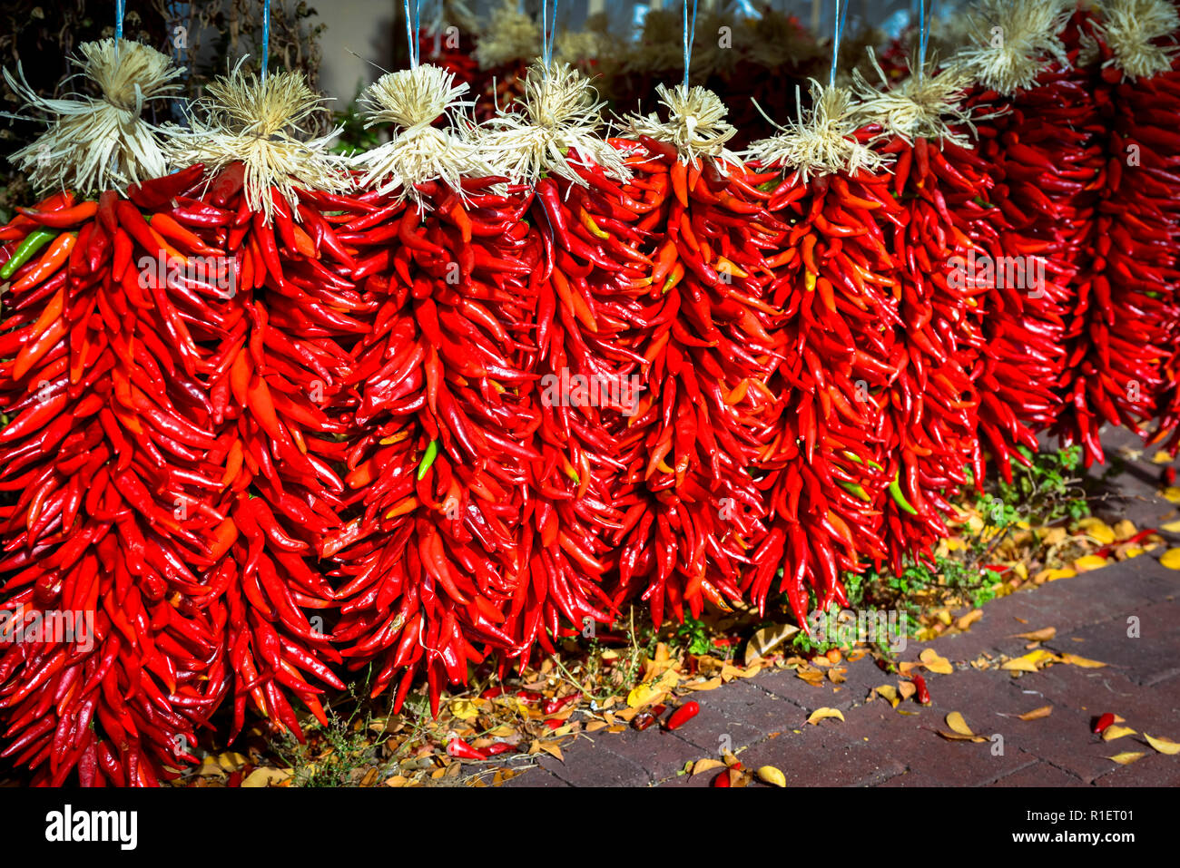 Close up of bright Red Chili Peppers montés ensemble, appelé ristras, communs à la région et la cuisine mexicaine Banque D'Images