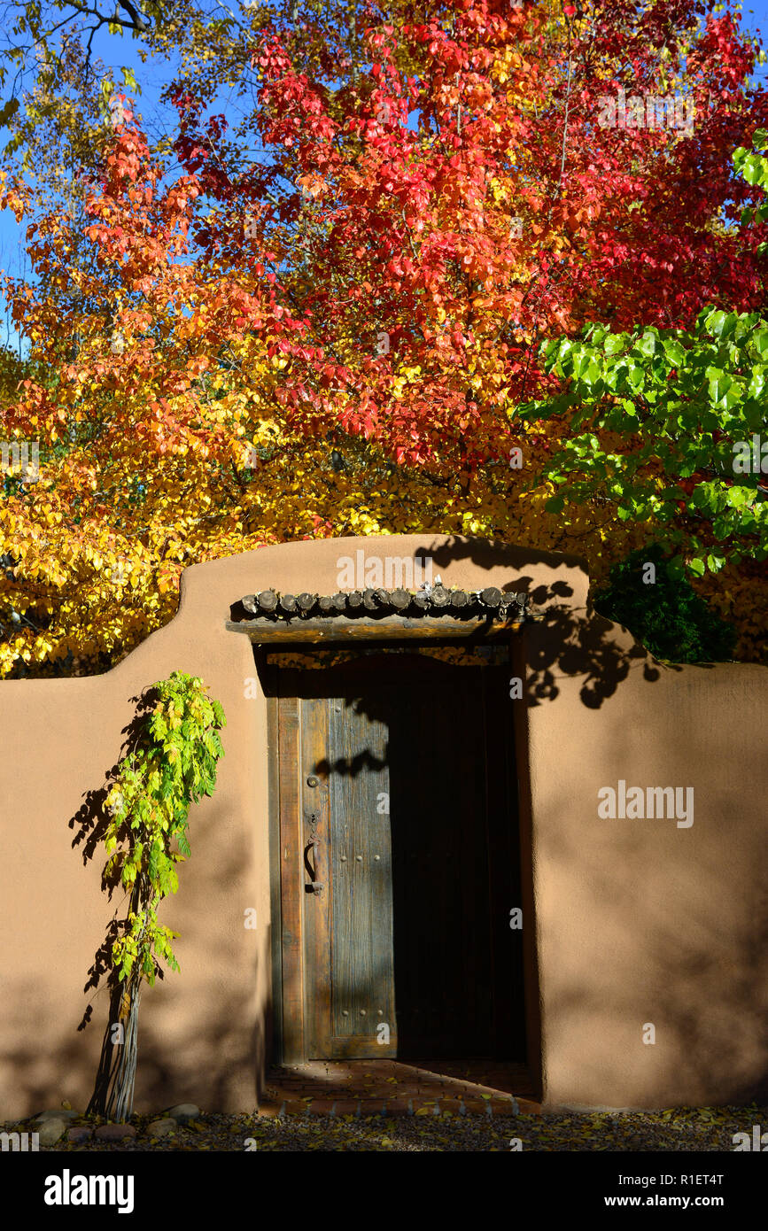 Les arbres d'automne avec des feuilles rouge et jaune à l'intérieur d'une cour avec un mur d'adobe et de charme vintage porte de bois au centre-ville de quartier à Santa Fe, NM Banque D'Images