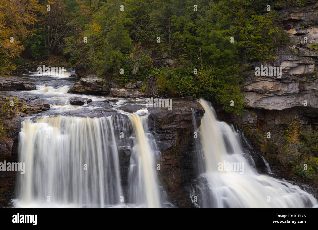 Parc d'état de Blackwater Falls dans la région de West Virginia USA Banque D'Images