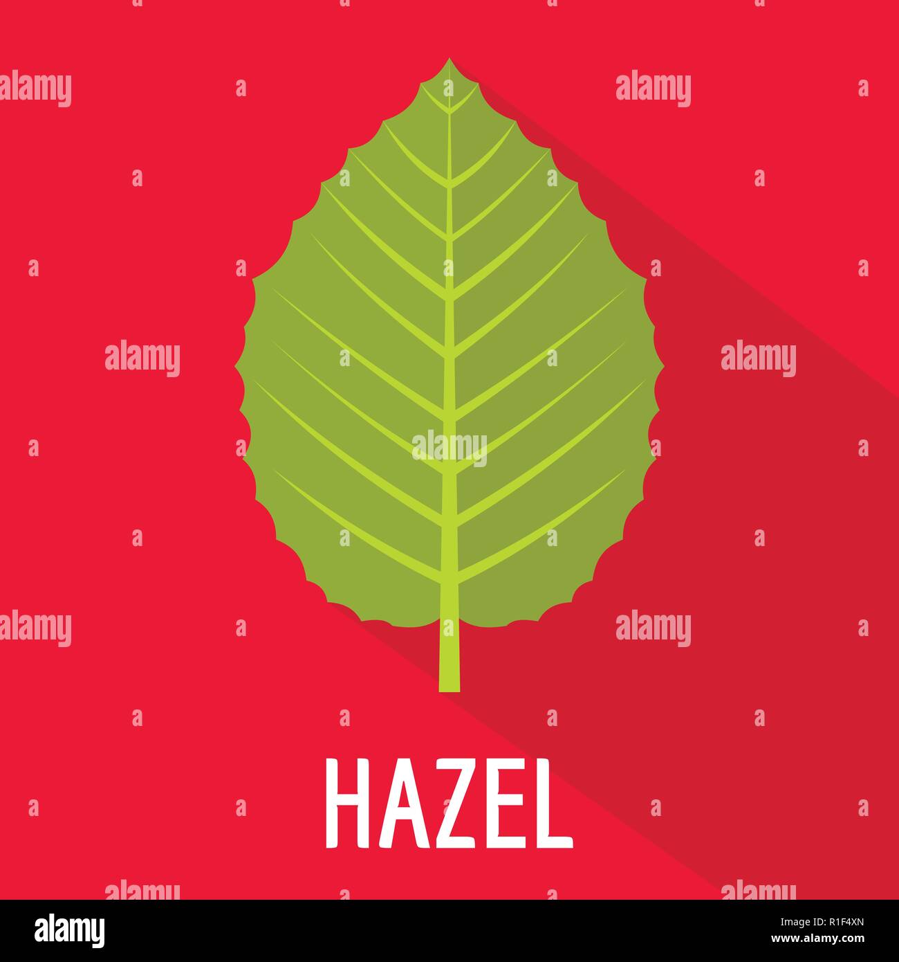 Feuille d'Hazel icône. Télévision illustration de hazel leaf vector icon for web Illustration de Vecteur