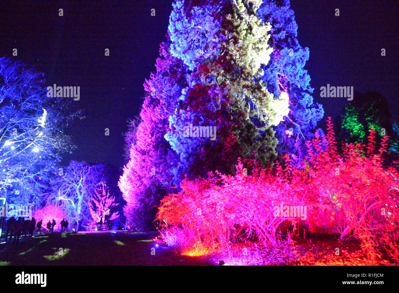 Sète, France. 11Th Nov, 2018. Waddesdon Manor Illuminations de Noël. Sentier de la lumière. Continue de 10 novembre au 2 janvier 2019. UK Crédit : Susie Kearley/Alamy Live News Banque D'Images