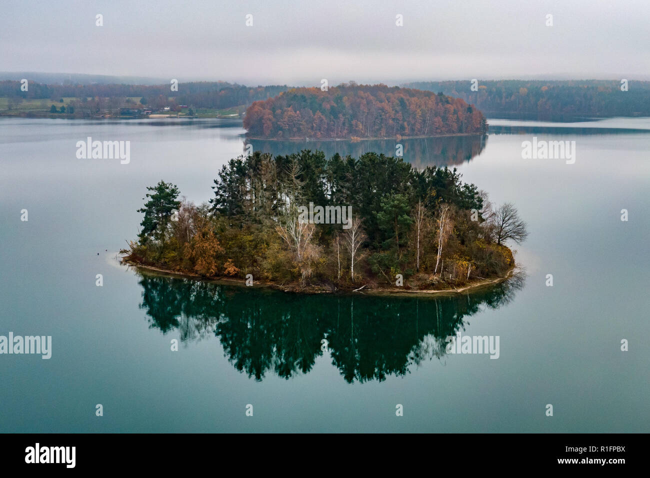 Steinberg am See, Allemagne. 12Th Nov, 2018. Une île du lac Steinberg. Après l'exploitation du lignite, la mine à ciel ouvert est devenu le plus grand lac du Haut-palatinat. Credit : Armin Weigel/dpa/Alamy Live News Banque D'Images