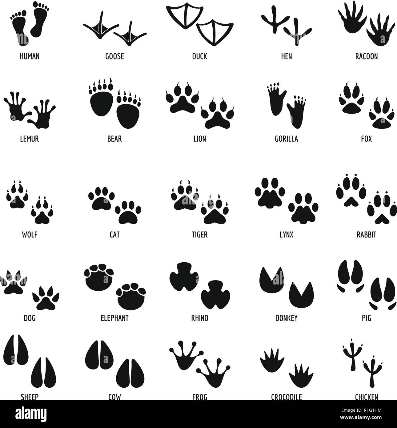 L'empreinte d'animaux icons set. Illustration simple de 25 empreinte animale vector icons for web Illustration de Vecteur