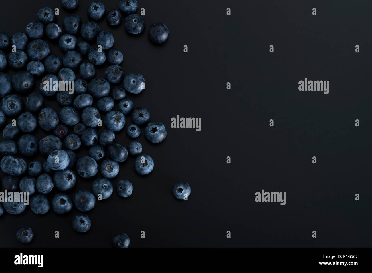 Bouquet de petits fruits bleu isolé sur fond noir Banque D'Images