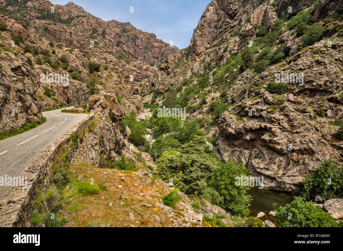 Scala di Santa Regina Canyon, vallée de la rivière Golo, la D-84, Haute-Corse, Corse, France Banque D'Images