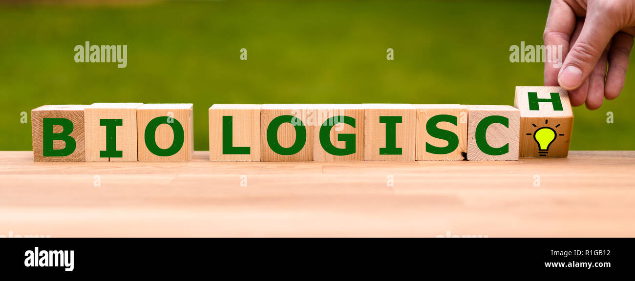 'Biologisch' written on dice comme symbole de nourriture biologique saine Banque D'Images