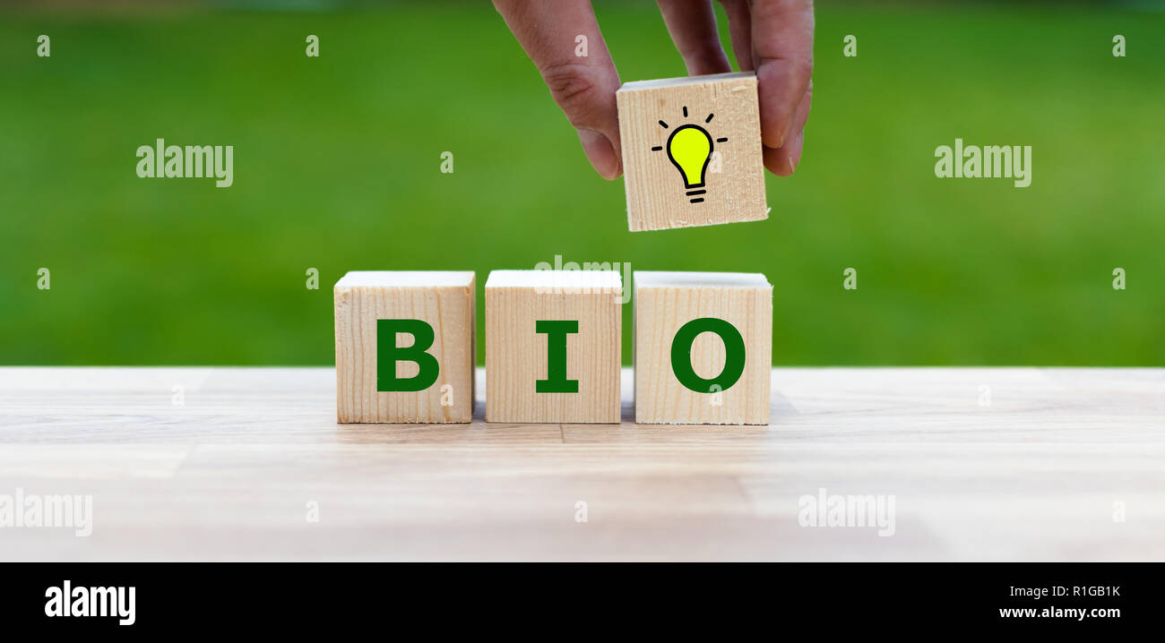 Formulaire dés le mot 'bio' comme symbole pour les aliments biologiques sains Banque D'Images