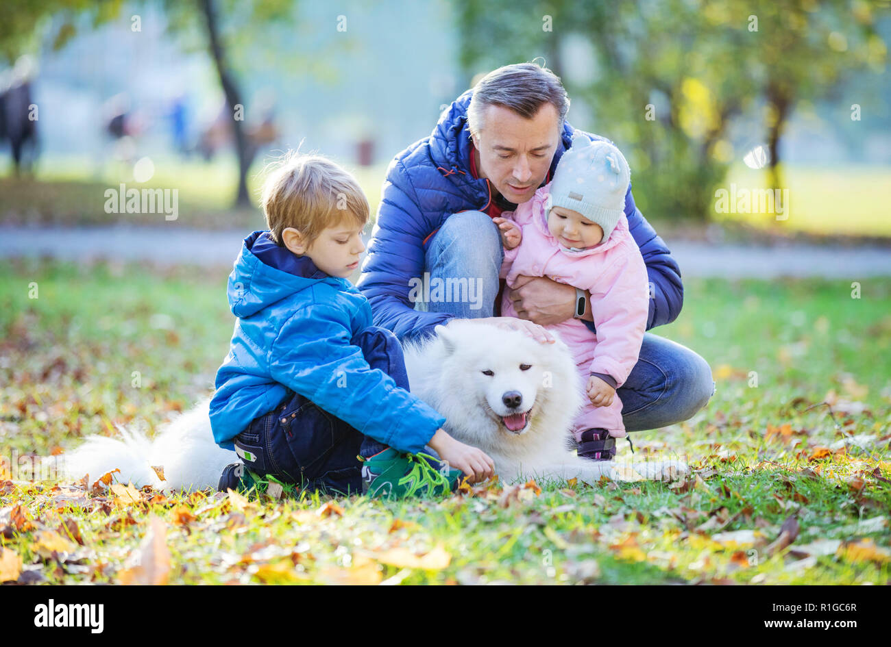 Pere Et Fils D Age Prescolaire Avec Bebe Fille Jouant Avec Son Chien Samoyede In Autumn Park Photo Stock Alamy