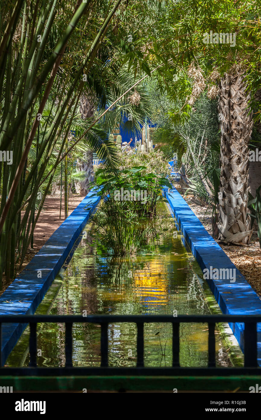 18-04-11. Marrakech, Maroc. Le jardin Majorelle (Jardin Majorelle, ) est un deux et demi-acre de jardin botanique et jardin paysage de l'artiste à Marr Banque D'Images