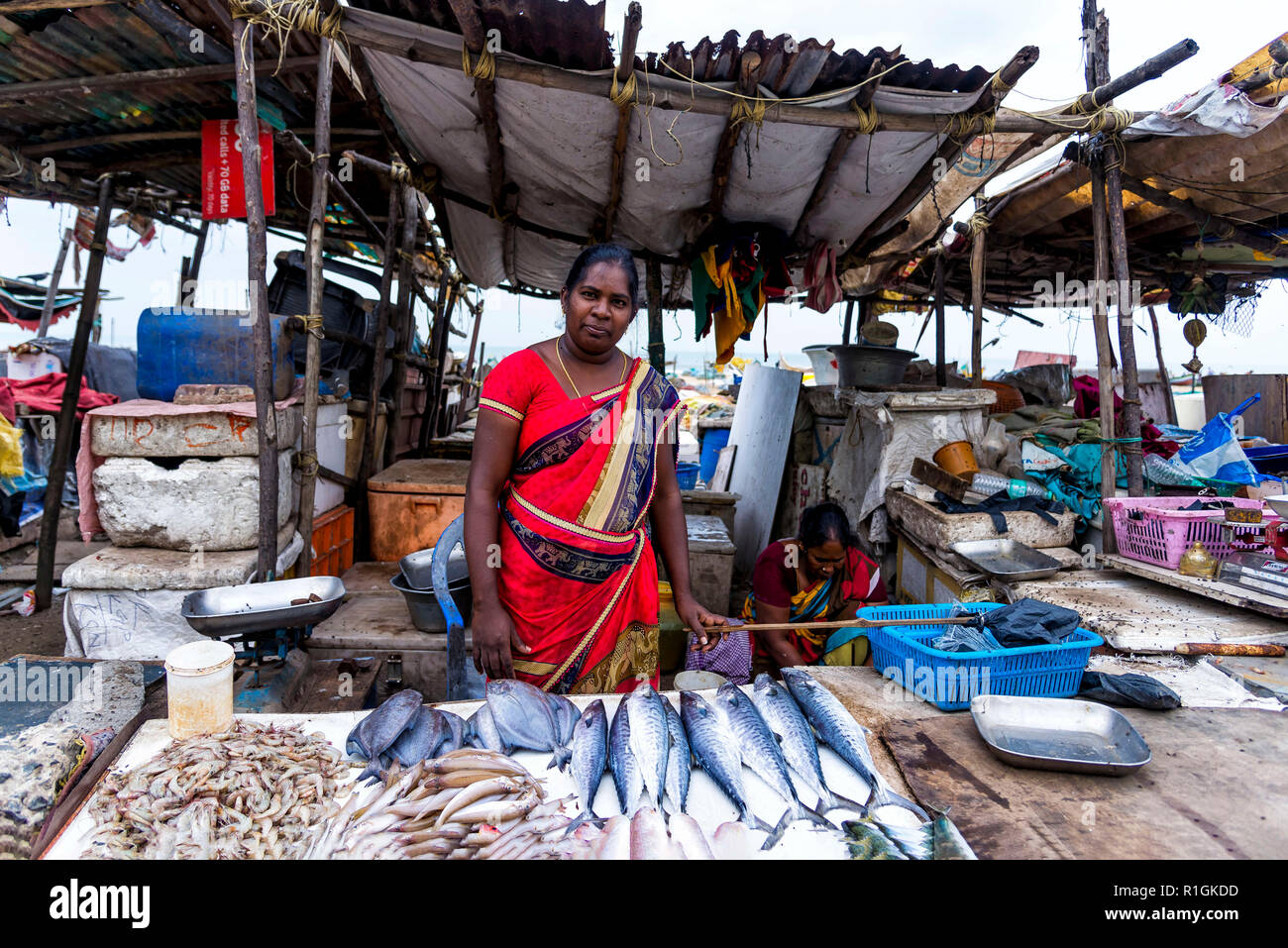 Chennai, Inde - le 18 août 2018 : une femme tamoule vendre des fruits de mer dans son étal au marché aux poissons de la rue de Chennai Banque D'Images