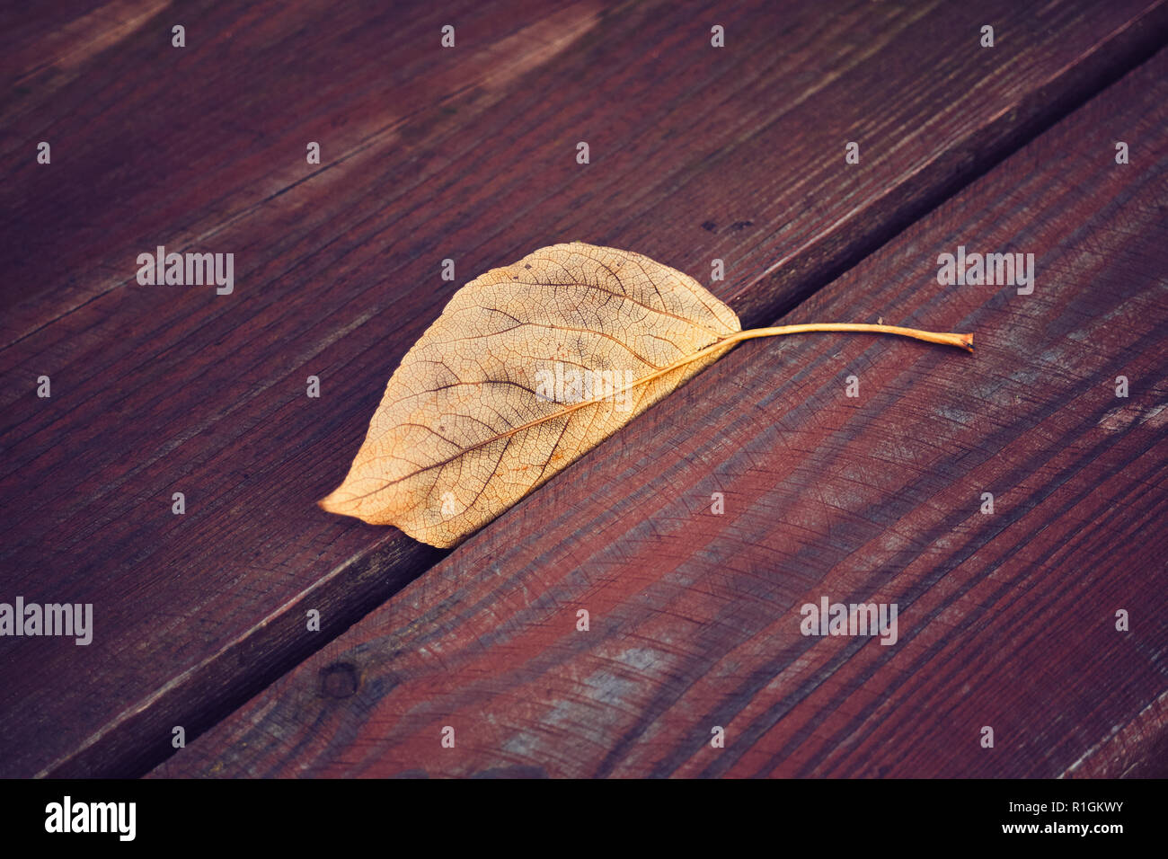 Les feuilles séchées sur une table en bois, selective focus, photo aux tons de couleur. Banque D'Images