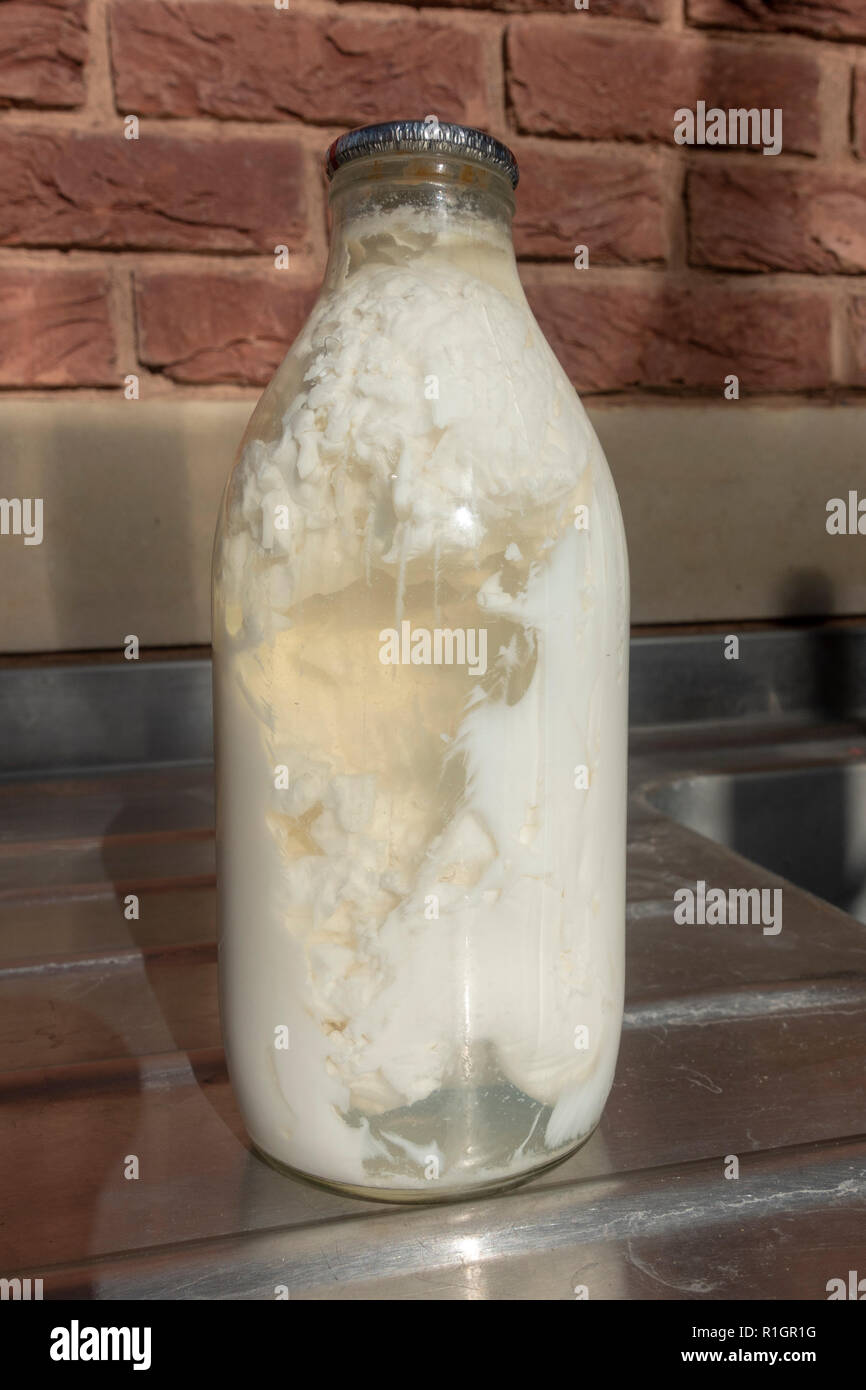 Une bouteille de lait caillé (environ 25 jours) assis sur un évier dans le Royaume-Uni. Banque D'Images