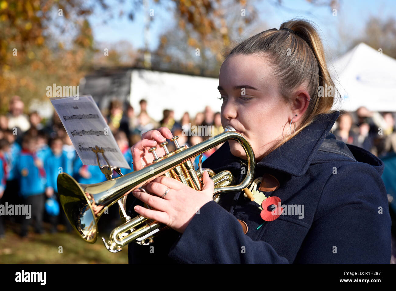 Musicien jouant de la musique pendant féminin Dimanche du souvenir, mémorial de guerre, Bordon, Hampshire, Royaume-Uni. 11.11.2018. Banque D'Images