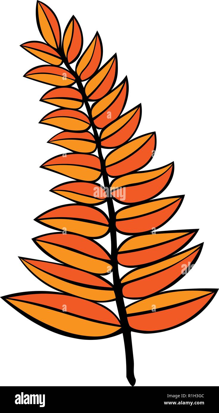 Tattoo. logo. vector illustration d'un contour de la direction générale d'orange isolé sur fond blanc.Pour l'illustration. tatouage. logo. Illustration de Vecteur