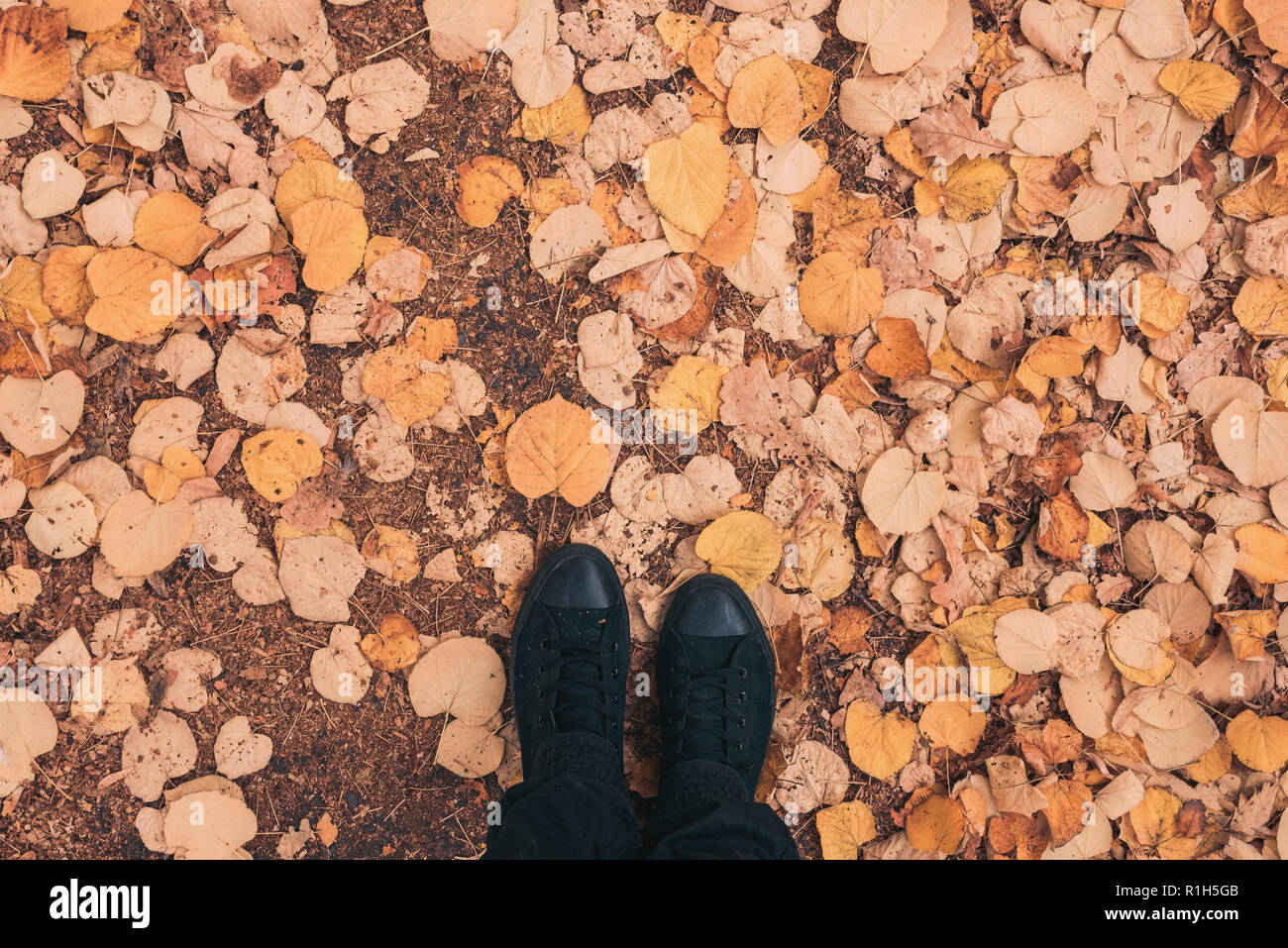Homme debout dans le parc sur les tas de feuilles d'automne, vue de dessus de pieds d'hommes en noir sneakers Banque D'Images