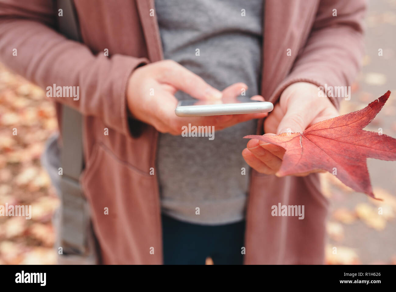 Woman holding smartphone et sec de la feuille d'érable japonais dans le parc en plein air aux beaux jours d'automne Banque D'Images