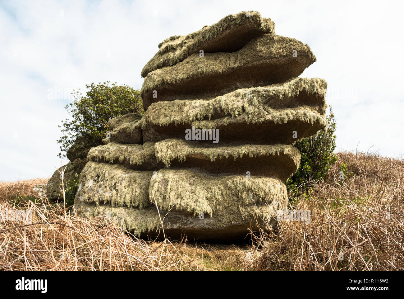 Un éperon rocheux sur Gugh, Îles Scilly, qui est absolument drapée de lichen vert pâle. Banque D'Images