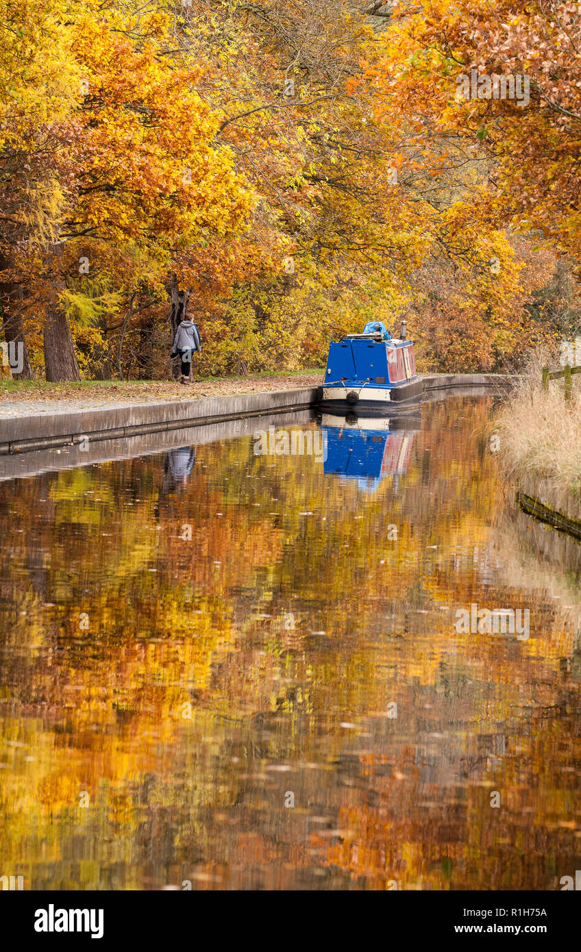 Bateau étroit sur les 46 km de long de la direction générale de Llangollen du canal de Shropshire Union avec couleurs d'automne dans les arbres le long du chemin de halage Banque D'Images