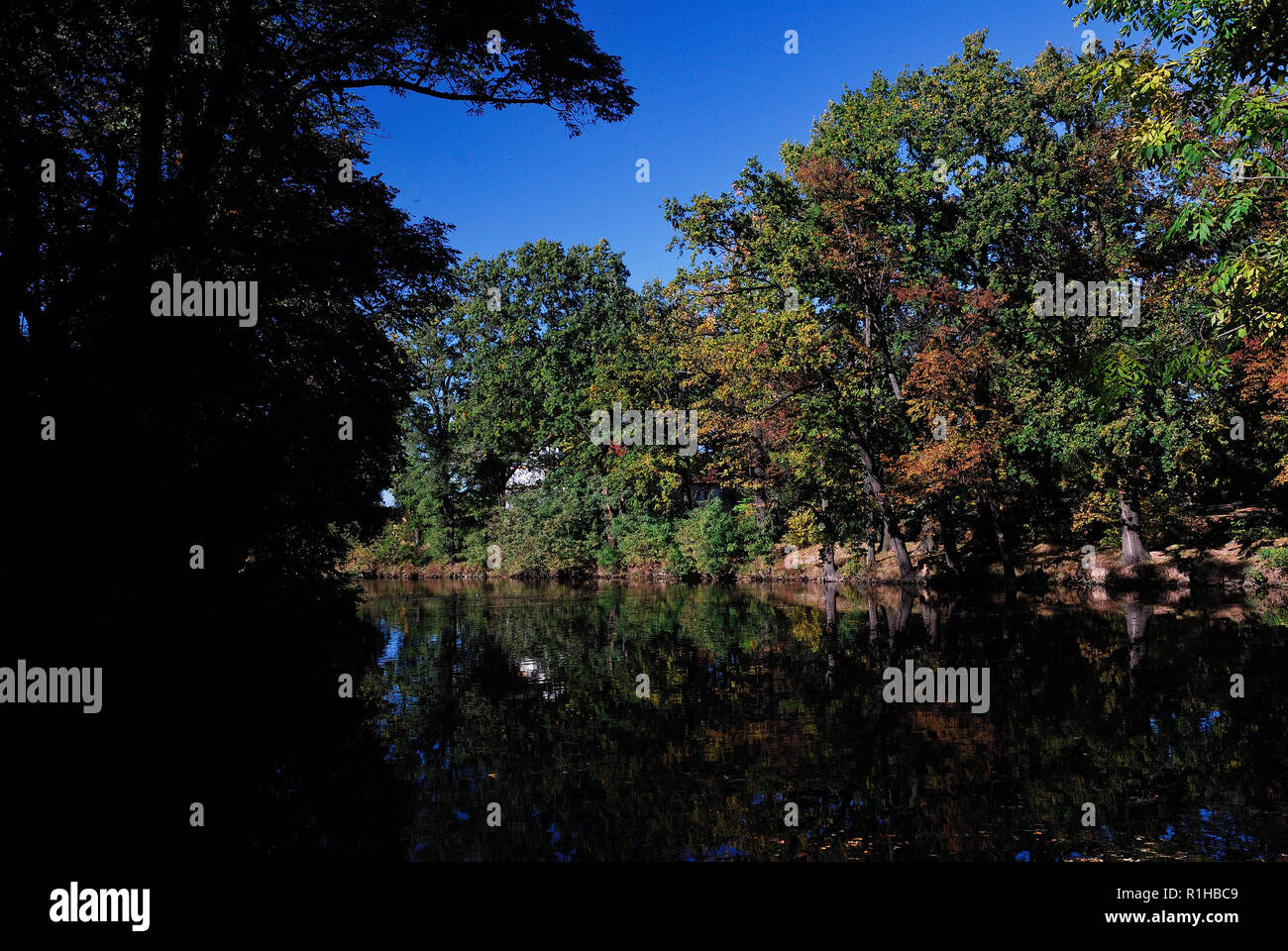 soleil, jour ensoleillé, loisirs, lac, nature,silence, style de vie, harmonie, eau, environnement naturel,Paysage, faune, photo Kazimierz Jurewicz, Banque D'Images