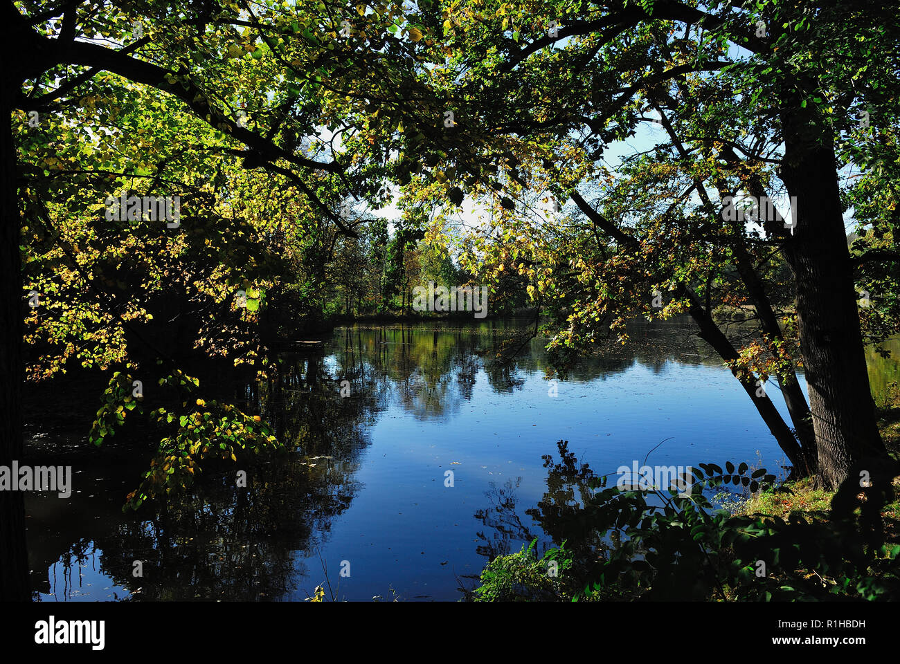 soleil, jour ensoleillé, loisirs, lac, nature,silence, style de vie, harmonie, eau, environnement naturel,Paysage, faune, photo Kazimierz Jurewicz, Banque D'Images