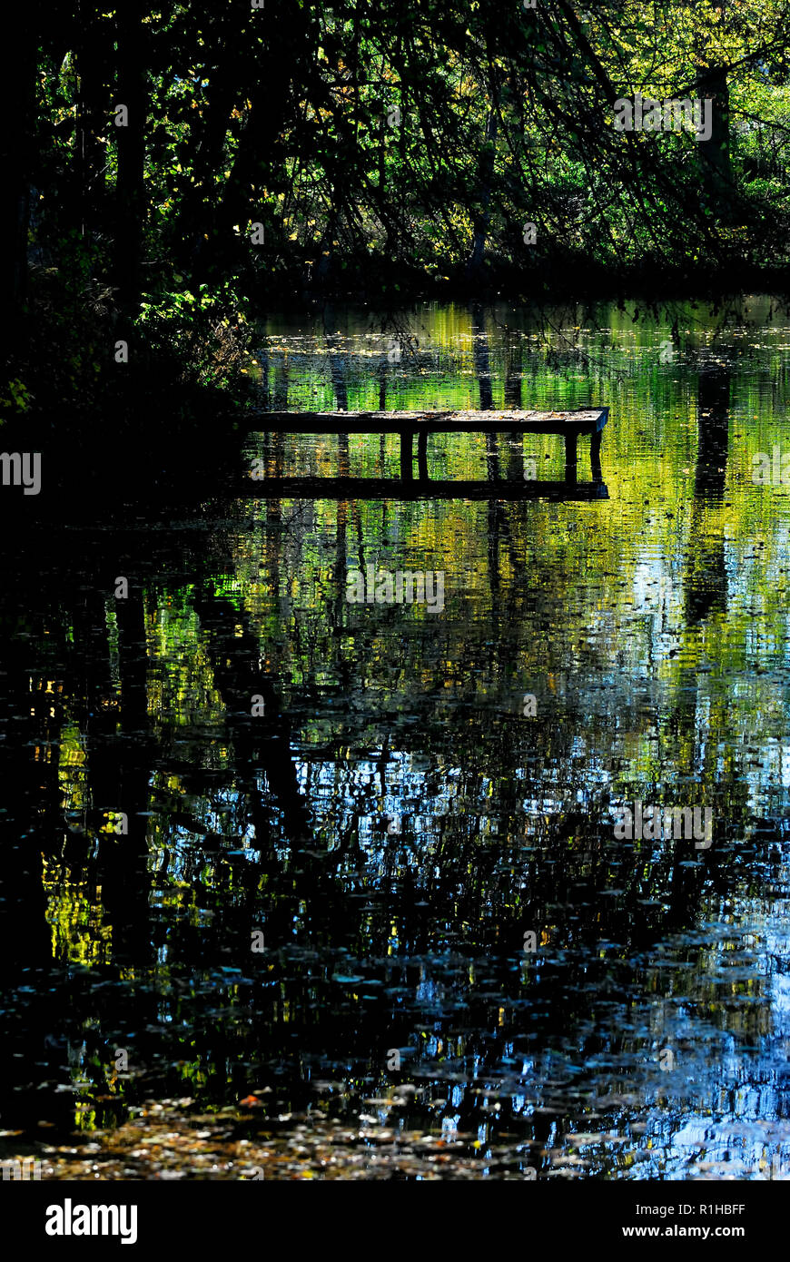 soleil, jour ensoleillé, loisirs, lac, nature,silence, style de vie, harmonie, eau, environnement naturel,Paysage, faune, photo Kazimierz Jurewicz, Banque D'Images