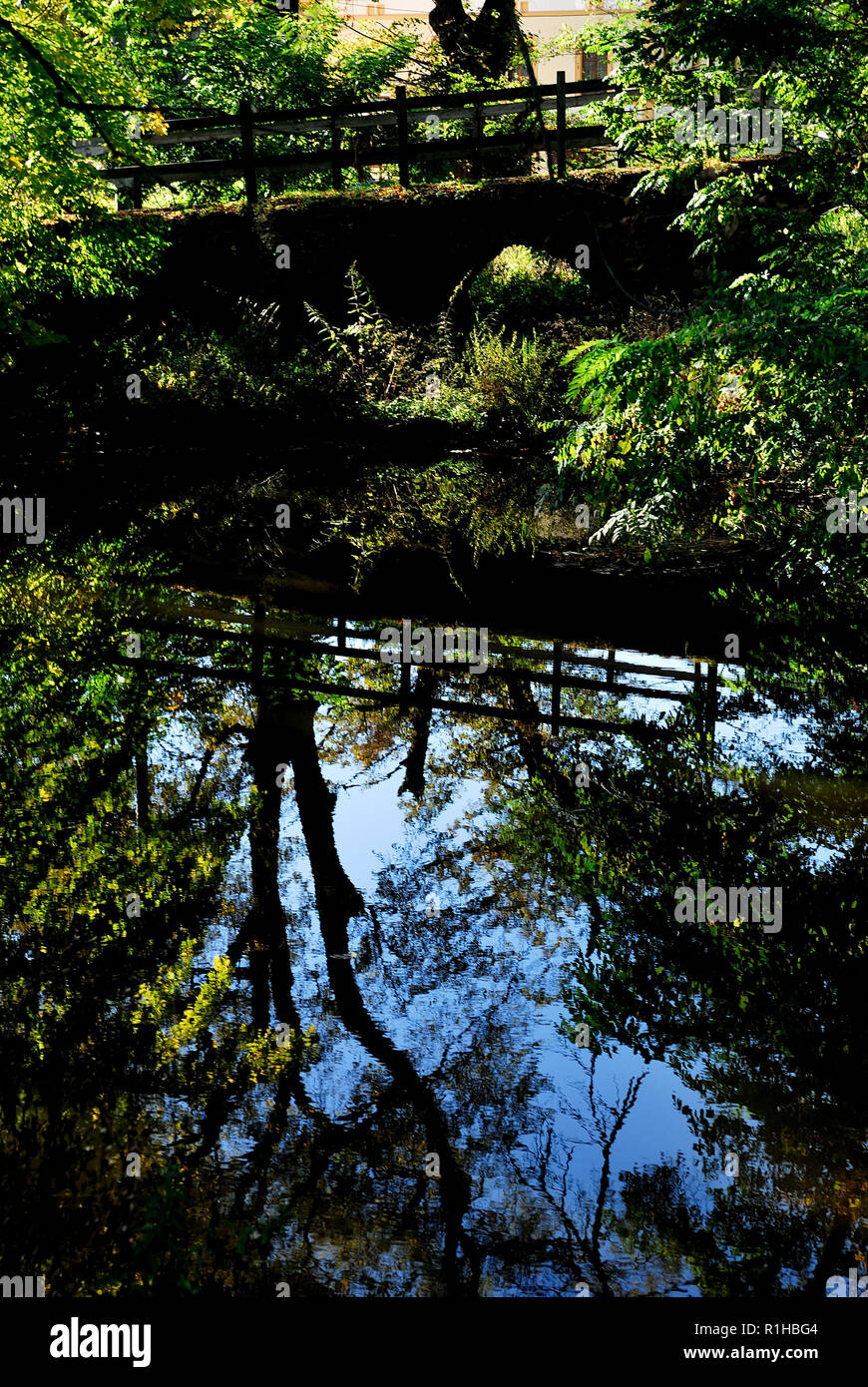 soleil, jour ensoleillé, loisirs, lac, nature,silence, style de vie, harmonie, eau, environnement naturel,Paysage, faune, photo Kazimierz Jurewicz, Banque D'Images