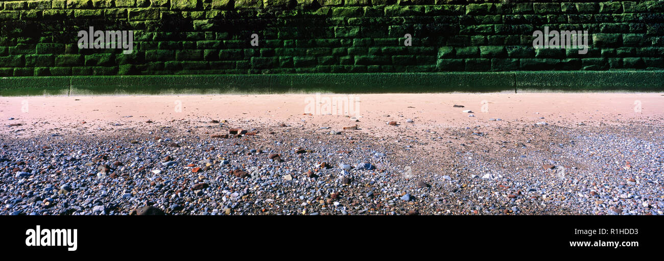 Image panoramique de mousse et d'algues de mer couverte mur de défense. Banque D'Images