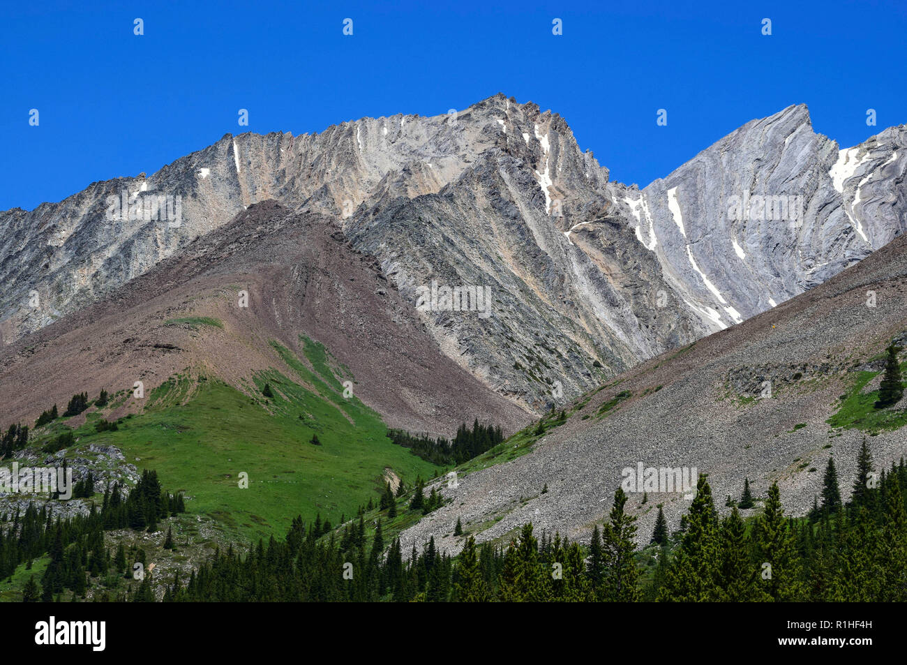 Les pics, vallées, prairies et autres paysage dans les montagnes Rocheuses du Canada Banque D'Images