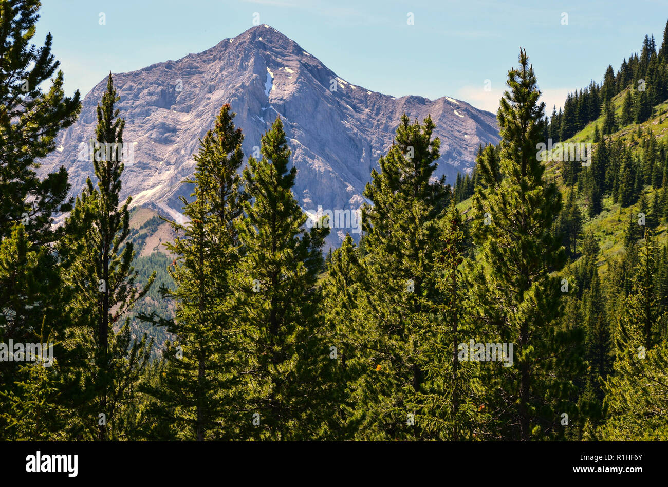 Les pics, vallées, prairies et autres paysage dans les montagnes Rocheuses du Canada Banque D'Images