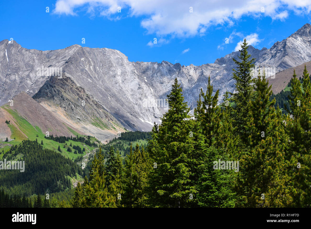 Les pics, vallées, prairies et autres paysage dans les montagnes Rocheuses du Canada Banque D'Images