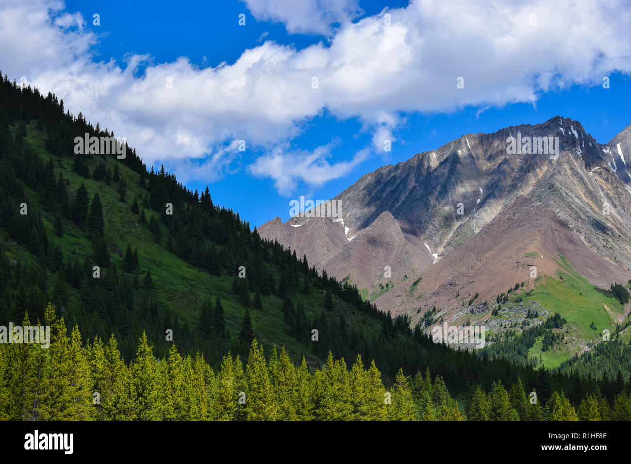 Les pics, vallées, prairies et autres paysage dans les montagnes Rocheuses du Canada Banque D'Images