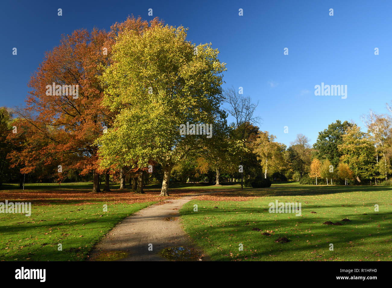 Herbst, dans Delmenhost Banque D'Images