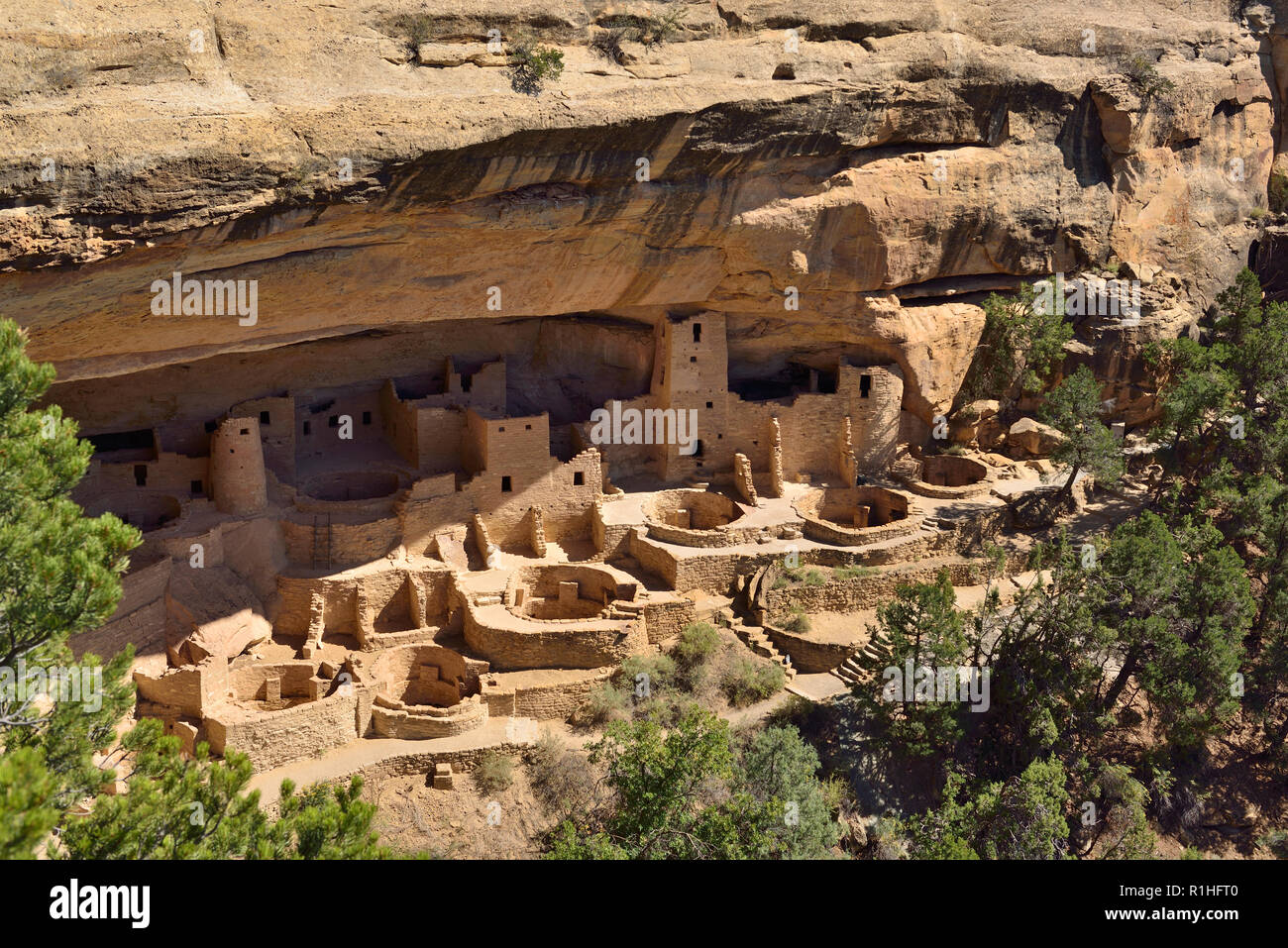 Cliff Palace, donnent sur le Parc National de Mesa Verde, Colorado, USA 180928 69727  Banque D'Images
