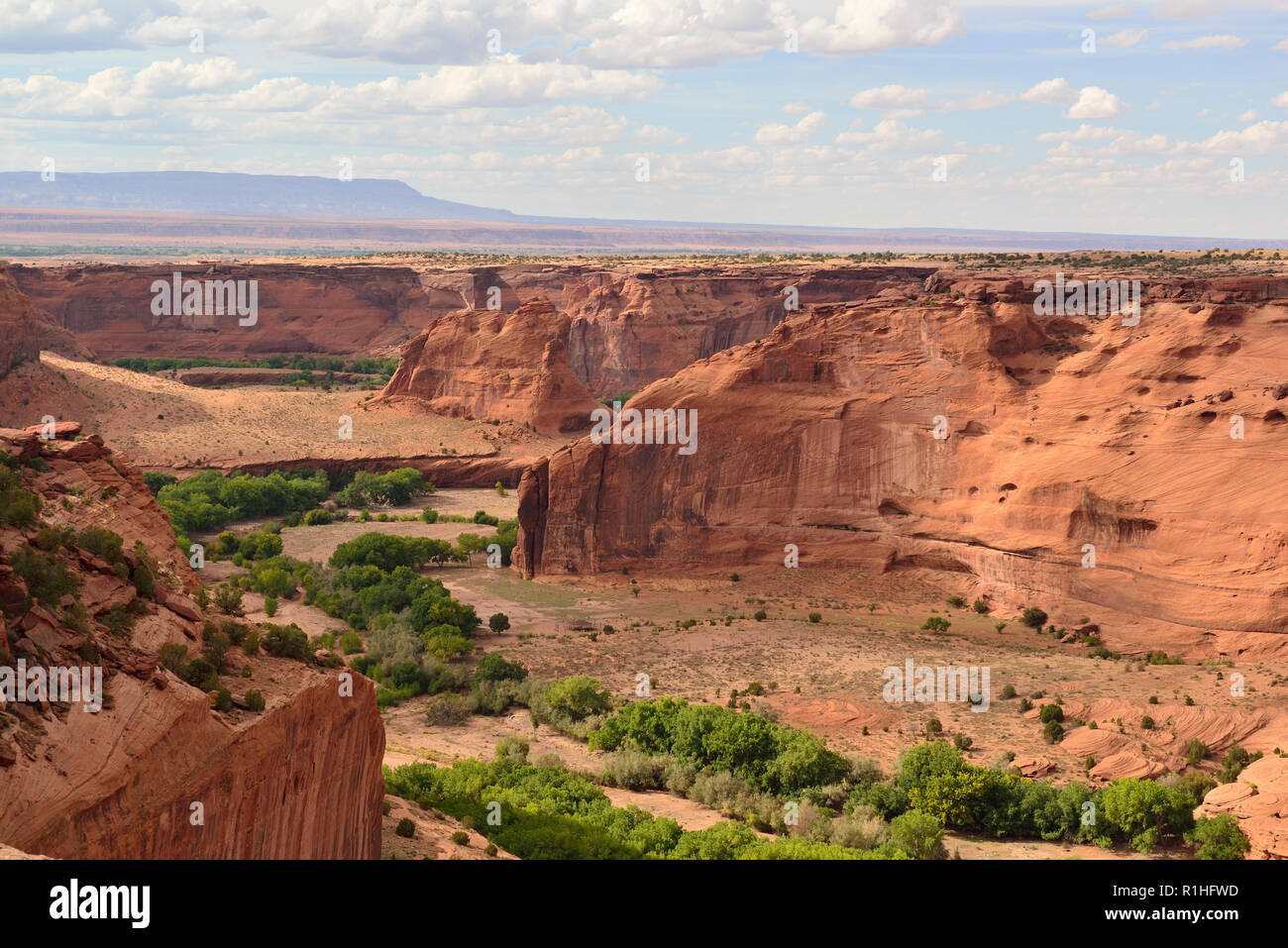 Ruine inconnue sur mur lointain, donnent sur la jonction,Canyon de Chelly National Monument, Chinle, Arizona, USA 180930 60013  Banque D'Images