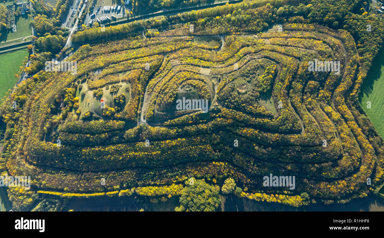 Vue aérienne, la hauteur en Kissinger Herringen, chemins, courbes, lignes d'égale hauteur, des sentiers, des feuilles d'automne coloré, Golden Octobre, Hamm Banque D'Images