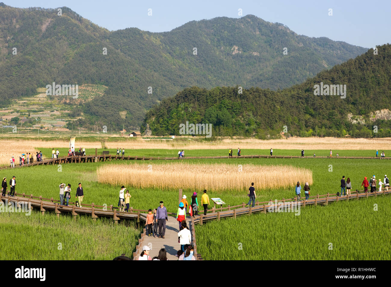 La baie de Suncheon Suncheon dans le jardin national-si, Jeollanam-do, Province de la Corée du Sud. Banque D'Images