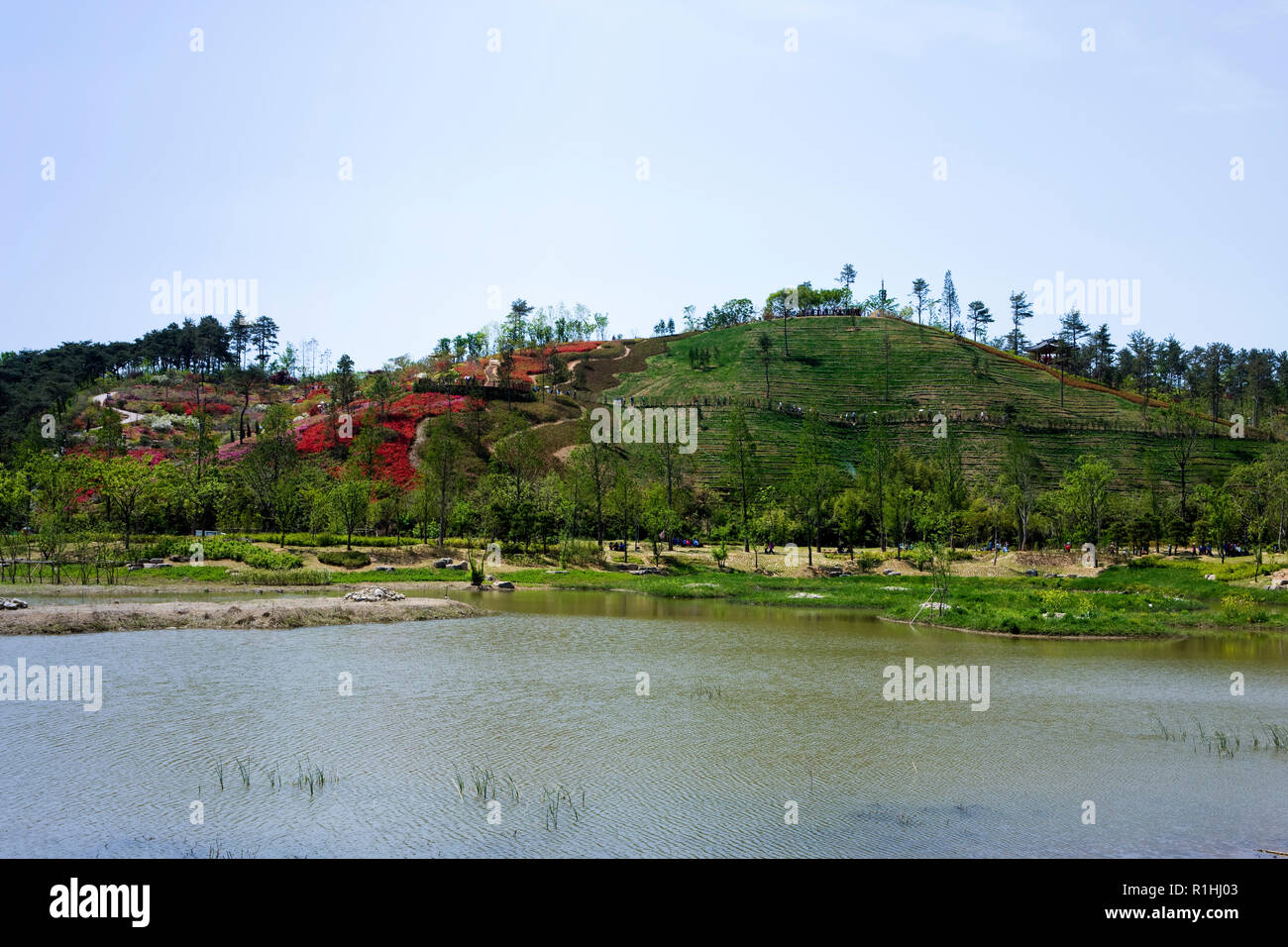 La baie de Suncheon Suncheon dans le jardin national-si, Jeollanam-do, Province de la Corée du Sud. Banque D'Images